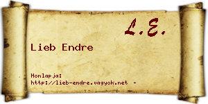 Lieb Endre névjegykártya